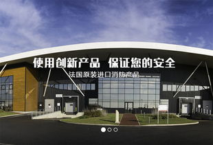 上海建網站公司成功簽約法國代福中國，助力企業數字化升級